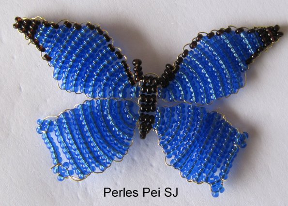 papillon_bleu_4