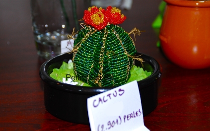 cactus-10