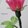 rose-shakira-4