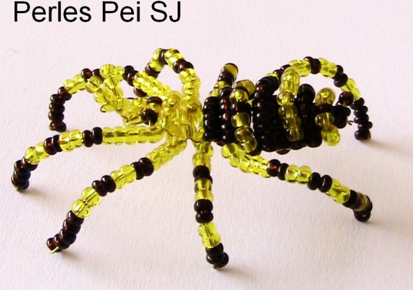 araignee-pei-3