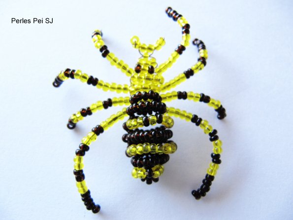 araignee-pei-6