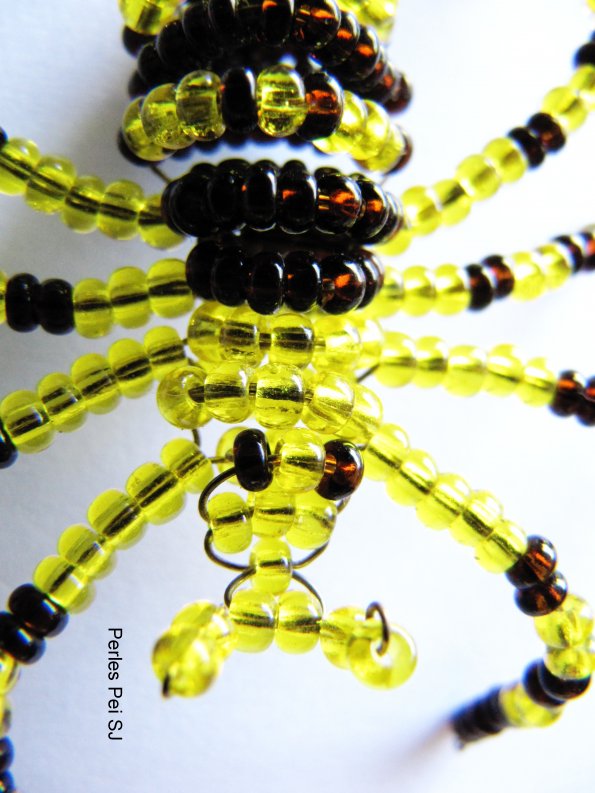 araignee-pei-8