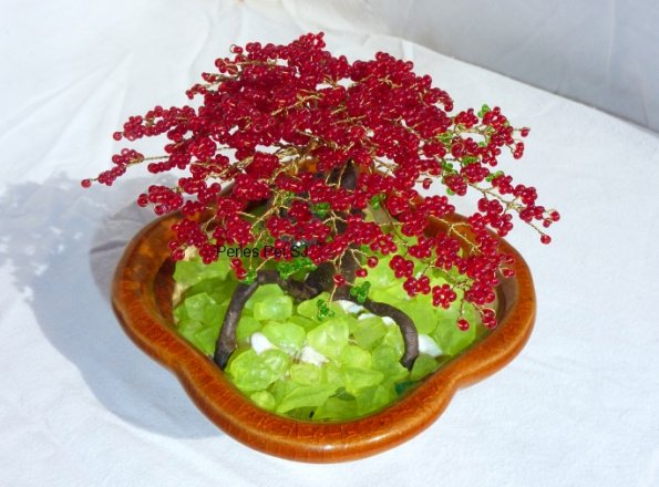 mini-flamboyant-fonce