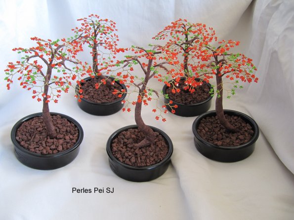 flamboyant-petit-new-4