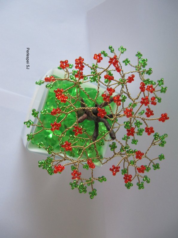 flamboyant_petit_bis_12