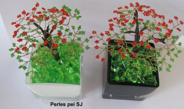 flamboyant_petit_bis_17