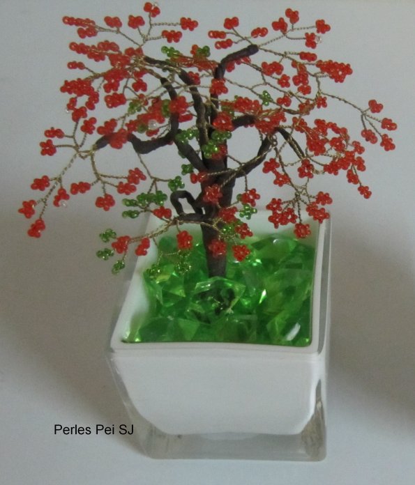 flamboyant_petit_bis_26