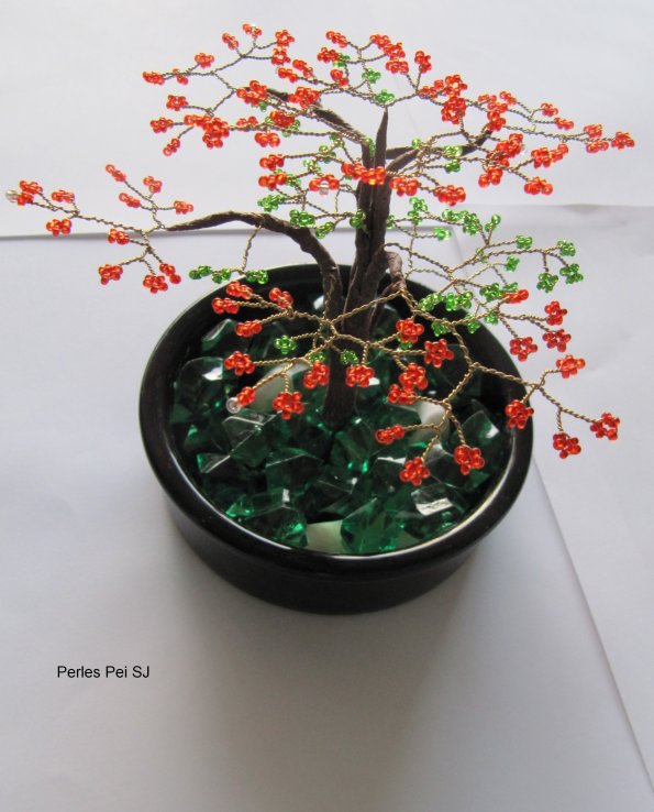 flamboyant_petit_bis_27