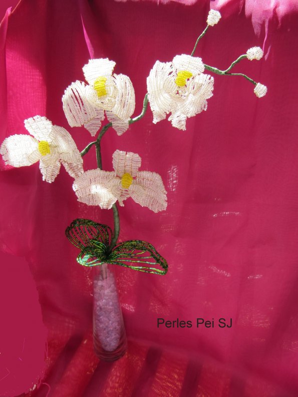 orchidee-blanche-grappe-39