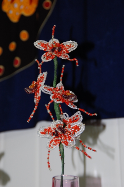 orchidee-tachete-orange