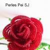 rose-jardin-rouge2