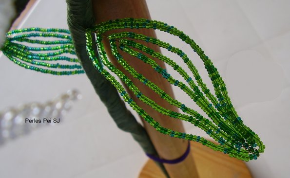 grand-pied-de-vanille-9